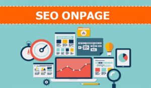 SEO On-page Là Gì? 10 Cách Tối ưu SEO On-page Giúp...